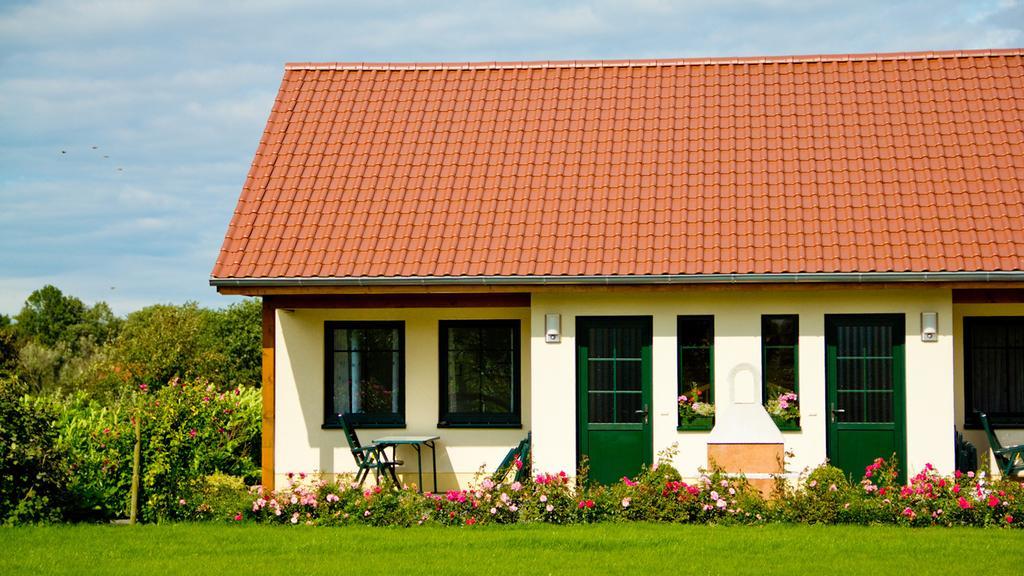 Alt Schonau Ferienwohnung Hof Maiweg מראה חיצוני תמונה