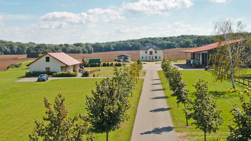 Alt Schonau Ferienwohnung Hof Maiweg מראה חיצוני תמונה